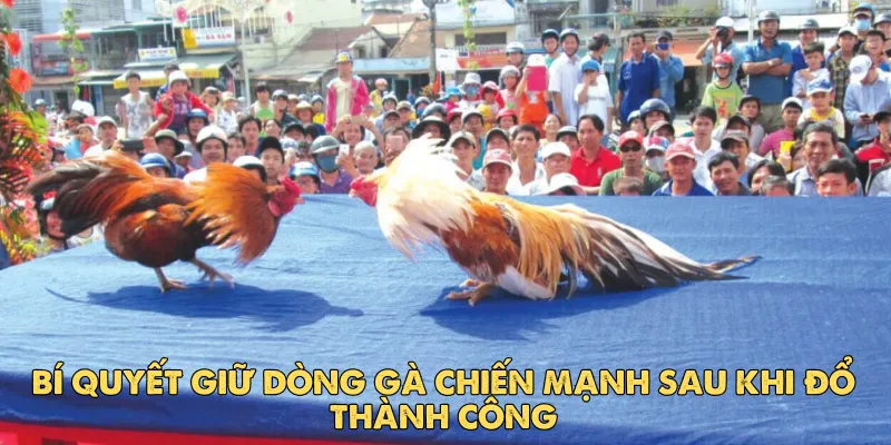 Thực hiện giao phối đúng cách