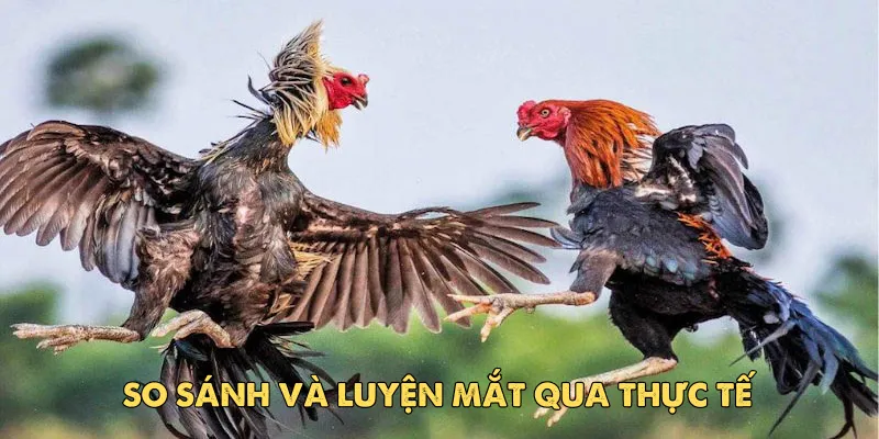 Sự nhạy bén trước tiếng động