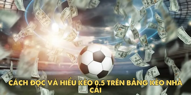 Hướng dẫn đọc kèo 0.5 hiệu quả cho người mới