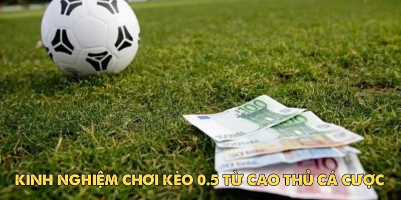 Kinh nghiệm chơi kèo 0.5 từ cao thủ cá cược
