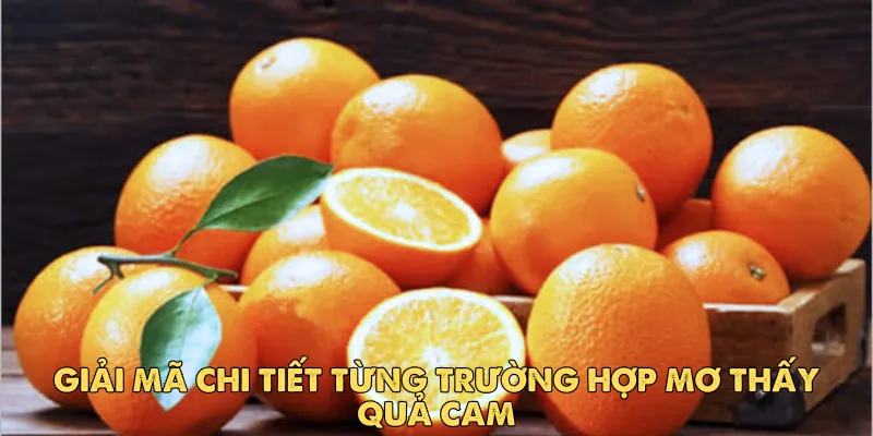 Giải mã chi tiết từng trường hợp mơ thấy quả cam