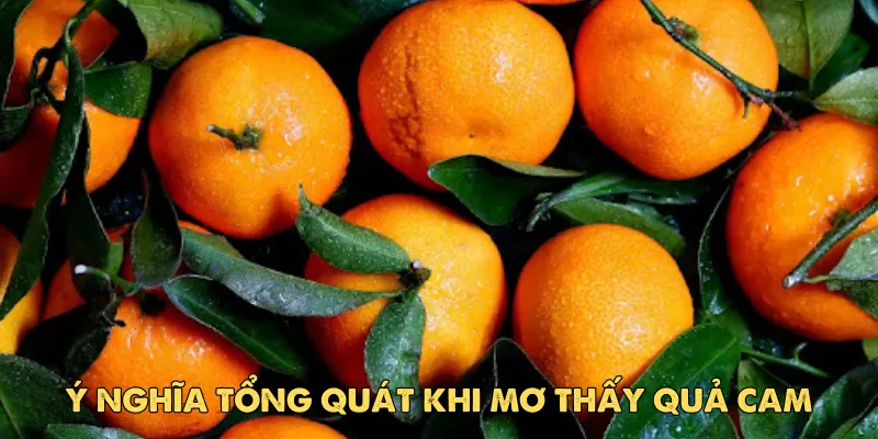 Ý nghĩa tổng quát khi mơ thấy quả cam