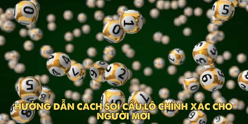 Hướng Dẫn Cách Soi Cầu Lô Chính Xác Cho Người Mới